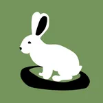 Rabbits Riddle icon