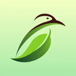 Magpie App icon