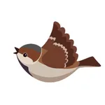 Chirp | Macco Academy icon