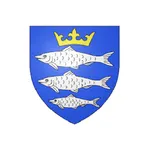 VILLE DE CHINY icon