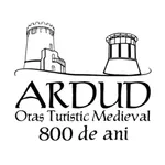 Discover Ardud icon