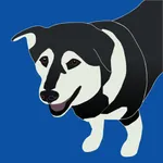 The Dog Breed App icon