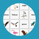 Find the pairs - Birds game icon