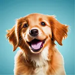 Dog Training Tricks icon