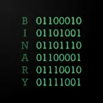 BinaryComputerStore icon