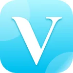 ViVi:easy to use icon