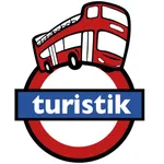 Turistik Chile icon