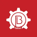 Balsan INS icon