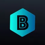 BlissVPN icon