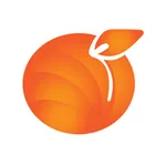 Peach Software: Reporter icon
