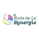 Synergie School icon