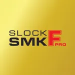 Smartkey F pro icon