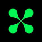 Lime Assessoria icon
