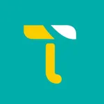 Travel car rental solutions icon