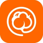 棉花果标签 icon