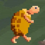 TurtleQuest icon