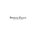 Bisonte Palace icon