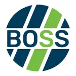 BOSS Risk icon