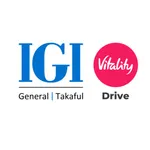 IGI Vitality Drive icon
