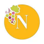 Napa Store icon