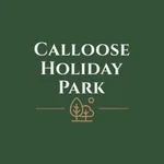 Calloose Holiday Park UK icon