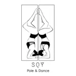 SQY POLE&DANCE icon