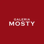 Galeria Mosty icon