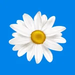 Мастерская букетов и подарков icon