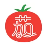 番茄大叔 icon