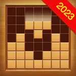 Wood Block Puzzle - Match IQ icon