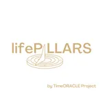 Life Pillars icon