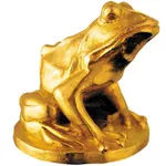 EnergaCAMERIMAGE icon