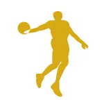 BasketballPlayer-evaluation icon