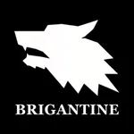 WOLF Fitness Brigantine icon