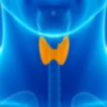 TIRADS, ATA & BTA for Thyroid icon