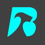 Binasa icon