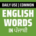 Daily Words English to Punjabi icon