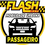 Flash 017 - Passageiro icon