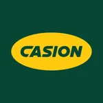 Cas-ion icon