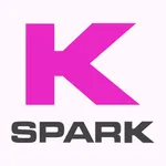 Spark ECU icon
