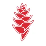 Pure Flowers icon