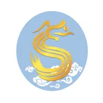 Dasheng Bank Mobile icon