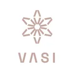 VASI icon