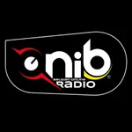 O.N.I.B. Radio icon