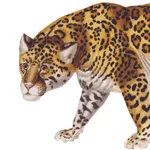 The Classic Safari Company icon