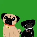 Pug Crush icon