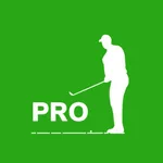 Swingtweaks Professional icon