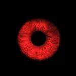 Eyes Horror 3D: Scary Survival icon