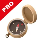 Compass Pro : Navigation icon