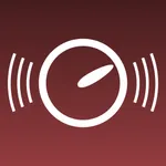 Voice Over Timer icon